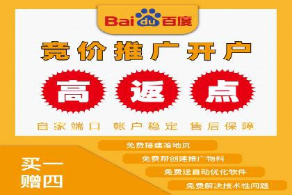 案例剖析：百度SEO推广公司如何助力企业飞速发展